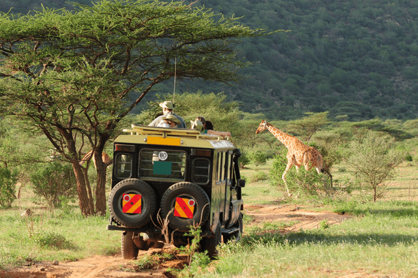 Safari in Kenya Canva Pro