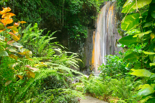 Spectacular diamond falls of soufriere st lucia Canva Pro
