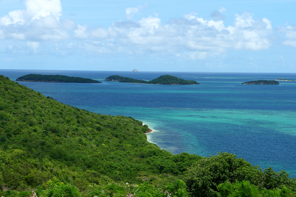 Tobago Cays St Vincent and the grenadines Caribbean canva pro